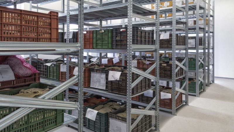 industrialie plaukti saknu un dazenu glabasanai