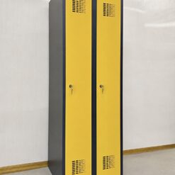 Krāsaini garderobes skapji 2x300 mm, SUM320W